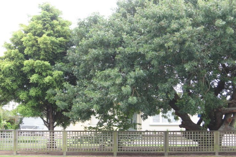 Photo of property in 25 Bridge Street, Opotiki, 3122
