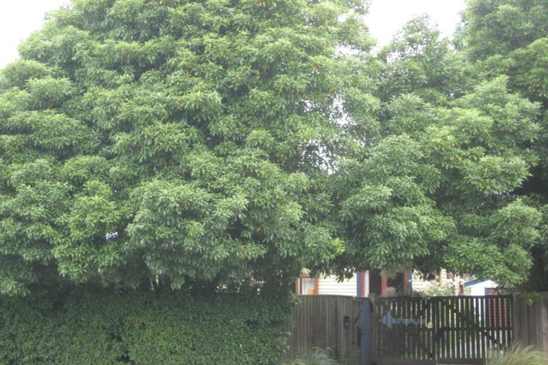 Photo of property in 166 Opawa Road, Hillsborough, Christchurch, 8022