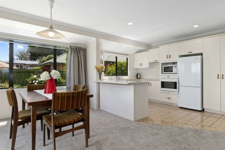 Photo of property in 169c Maungatapu Road, Maungatapu, Tauranga, 3112