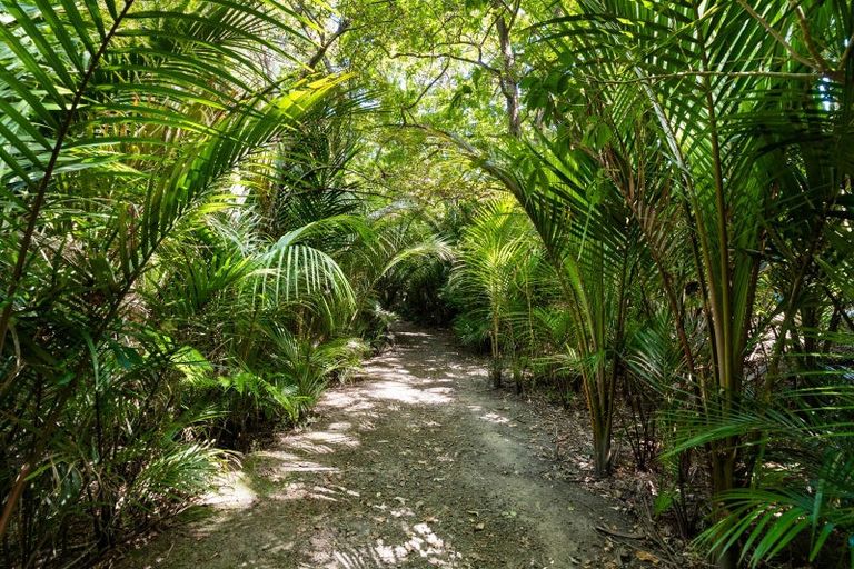 Photo of property in 730a South Titirangi Road, Titirangi, Auckland, 0604