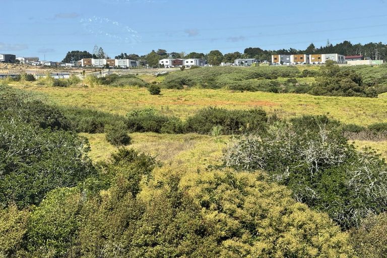 Photo of property in 31 Hauhake Road, Flat Bush, Auckland, 2019