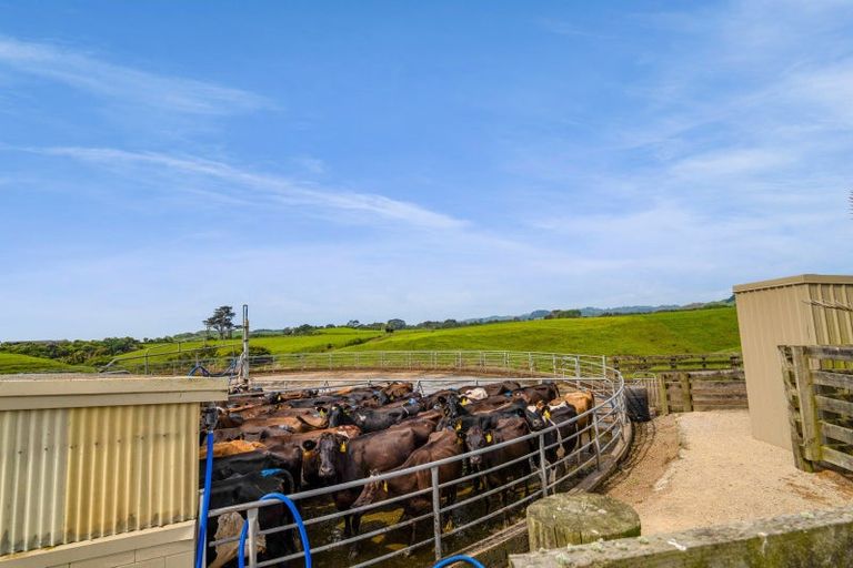 Photo of property in 78 Waitoetoe Road, Mimi, Urenui, 4377