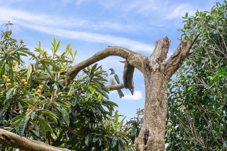 Photo of property in 958e Whangarei Heads Road, Parua Bay, 0174