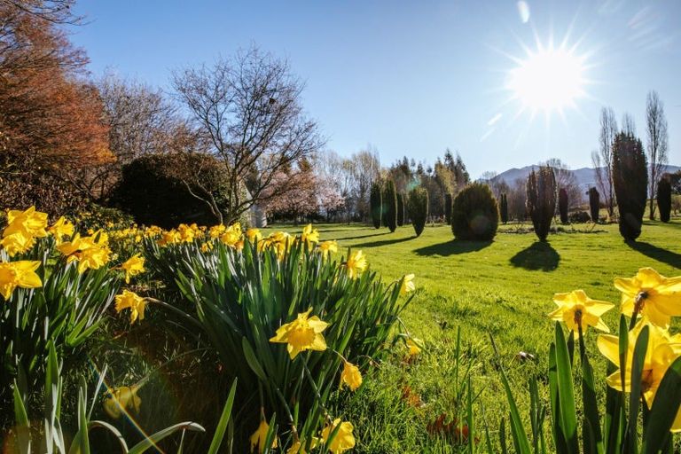 Photo of property in 599 Mount Barker Road, Wanaka, 9382