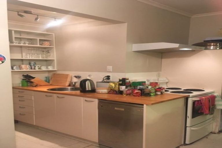 Photo of property in 103 Tasman Street, Mount Cook, Wellington, 6021