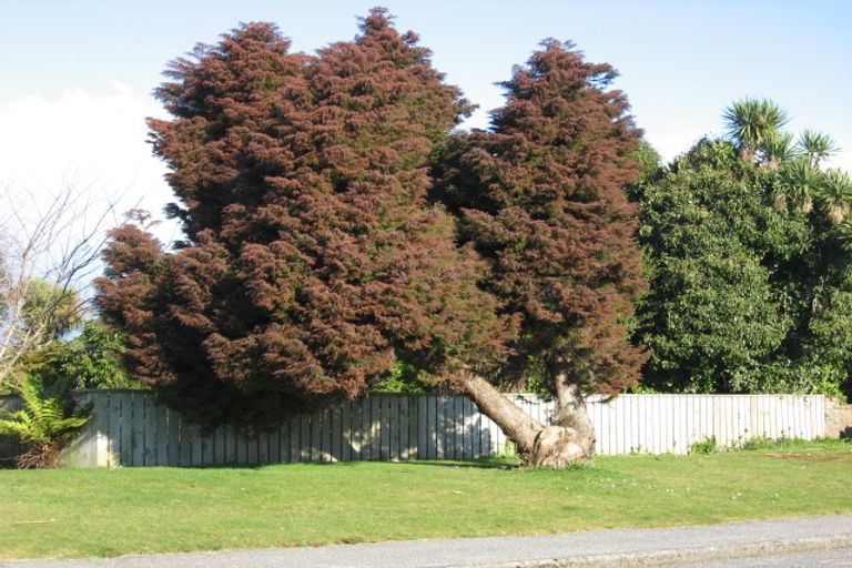 Photo of property in 84 Sale Street, Hokitika, 7810