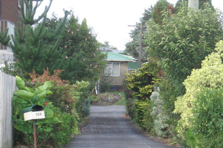 Photo of property in 133 Rathgar Road, Henderson, Auckland, 0610