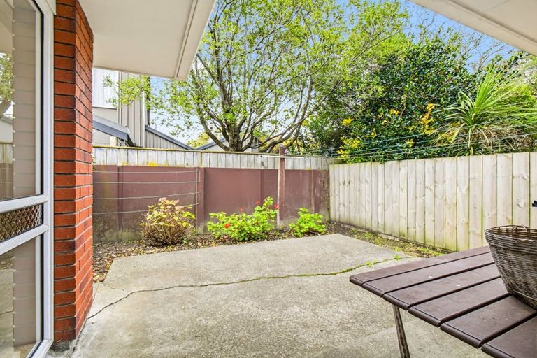 Photo of property in 45 Dittmer Drive, Awapuni, Palmerston North, 4412