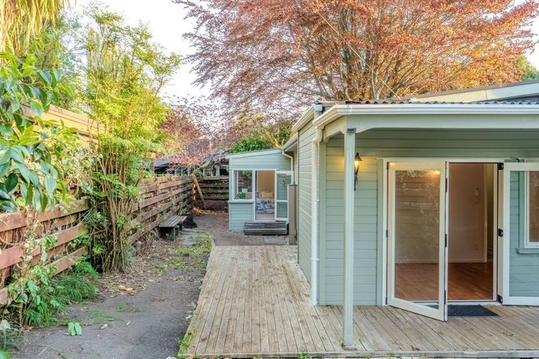 Photo of property in 17 Macfarlane Street, Hamilton East, Hamilton, 3216