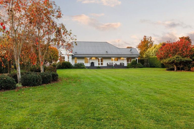 Photo of property in 78 Amelia Place, Leamington, Cambridge, 3432