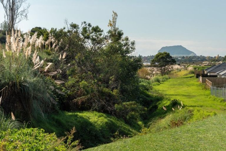 Photo of property in 39 Glenpark Crescent, Bethlehem, Tauranga, 3110