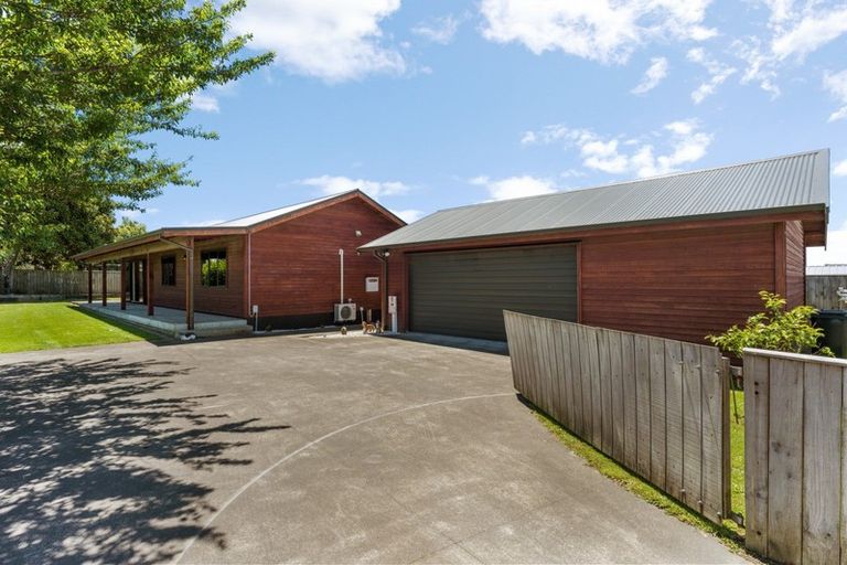 Photo of property in 113 Swansea Road, Stratford, 4332