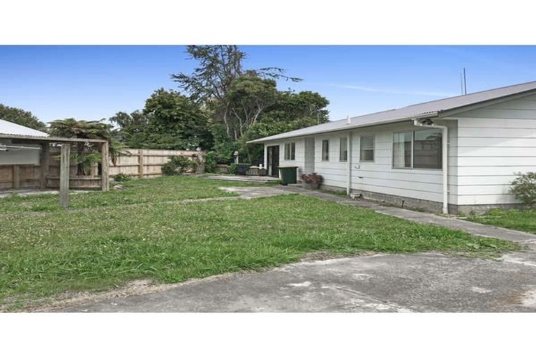 Photo of property in 3 Guy Avenue, Levin, 5510