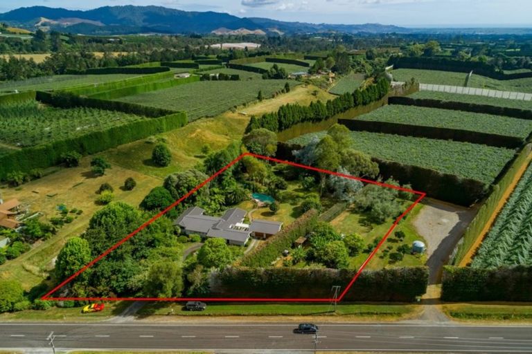 Photo of property in 854 No 1 Road, Te Puke, 3182