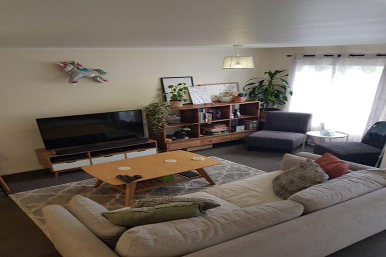 Photo of property in 55f2 Hamilton Road, Hataitai, Wellington, 6021