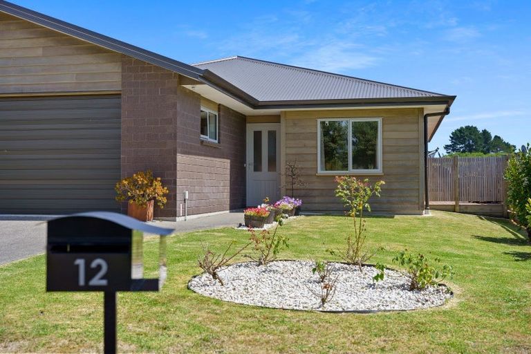 Photo of property in 12 Tamihana Street, Otaki, 5512