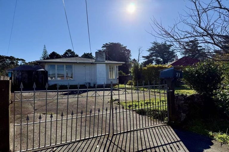 Photo of property in 71 Smythe Road, Henderson, Auckland, 0612