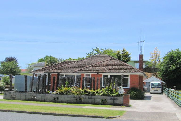 Photo of property in 44 Rangitahi Street, Otorohanga, 3900
