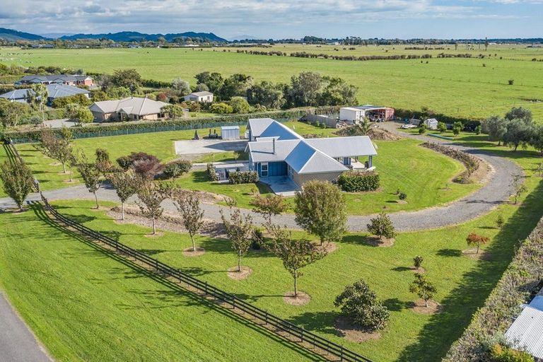 Photo of property in 76 Pohutukawa Drive, Levin, 5571