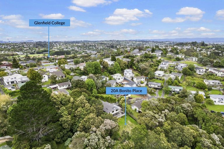 Photo of property in 20a Bonito Place, Bayview, Auckland, 0629