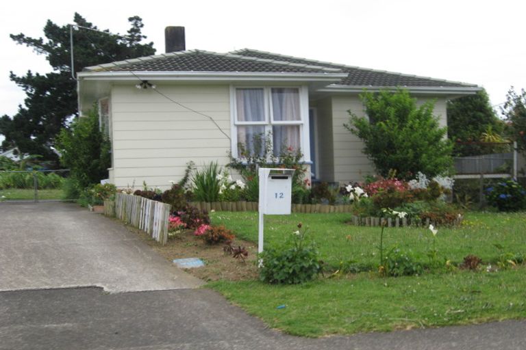 Photo of property in 12 Solent Street, Mangere, Auckland, 2022