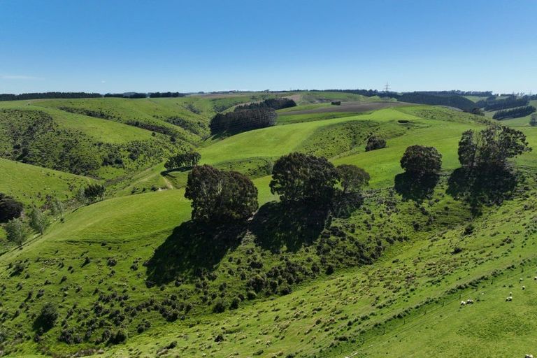 Photo of property in 47 Oopunga Road, Pukekohe, 2120