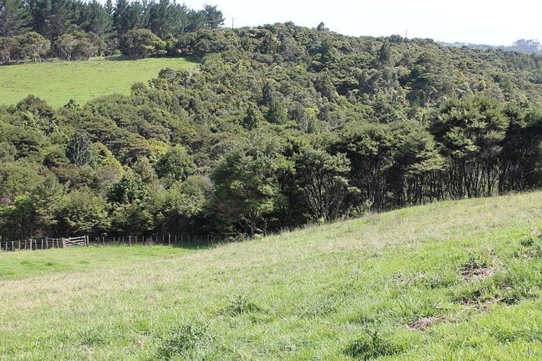 Photo of property in 60 Summer Road, Tinopai, Matakohe, 0593