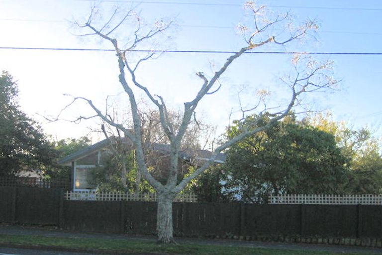 Photo of property in 47 Crosby Road, Chartwell, Hamilton, 3210