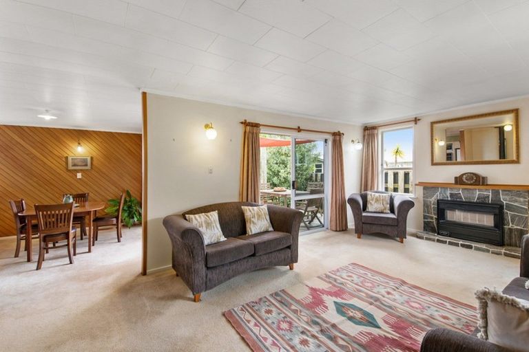 Photo of property in 175 Tiro Tiro Road, Levin, 5510