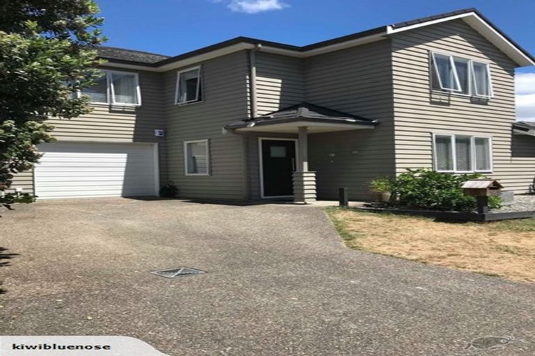 Photo of property in 90 Landing Drive, Pyes Pa, Tauranga, 3112