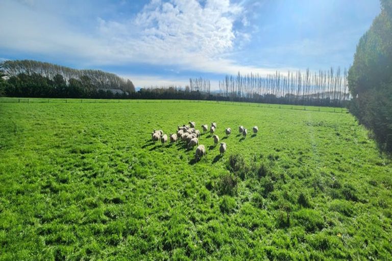 Photo of property in 7/259 Birchs Road, Prebbleton, 7674