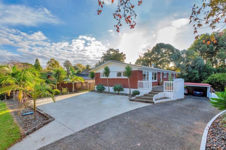 Photo of property in 25 Moloney Terrace, Pukekohe, 2120