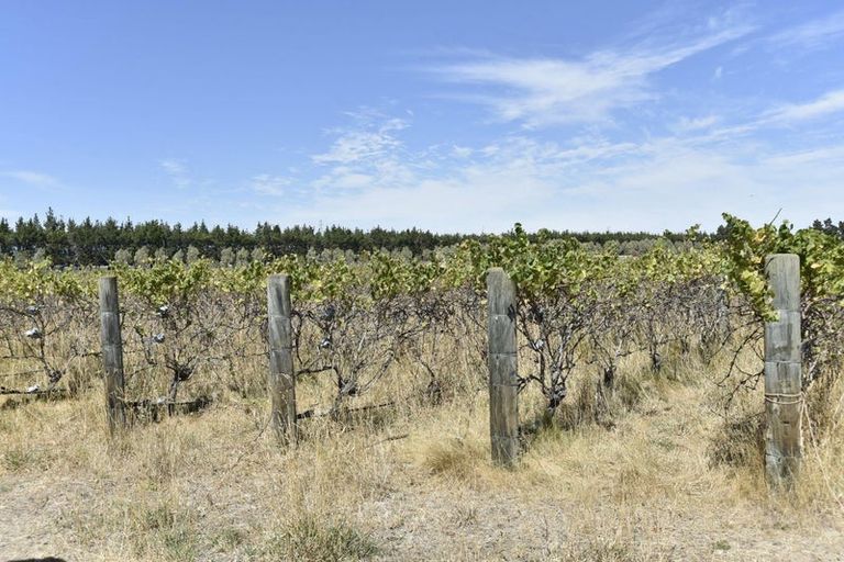 Photo of property in 53 Te Taniwha Road, One Tree Point, 0118