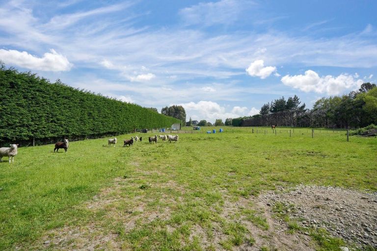 Photo of property in 72 Millton Park Road, Mill Road, Invercargill, 9871