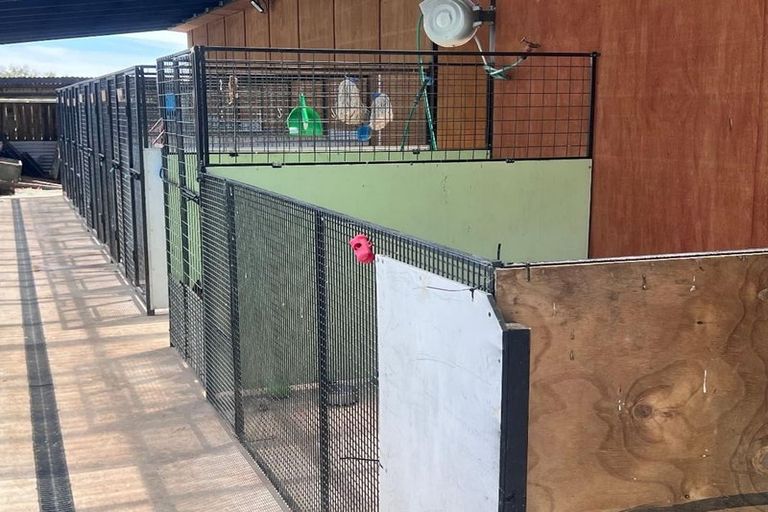Photo of property in 140 Mako Mako Road, Levin, 5510