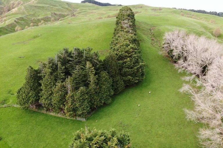 Photo of property in 130 Bowen Road, Eketahuna, 4994