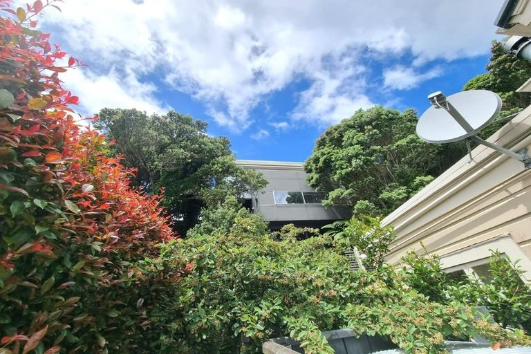 Photo of property in 223a Ohiro Road, Brooklyn, Wellington, 6021