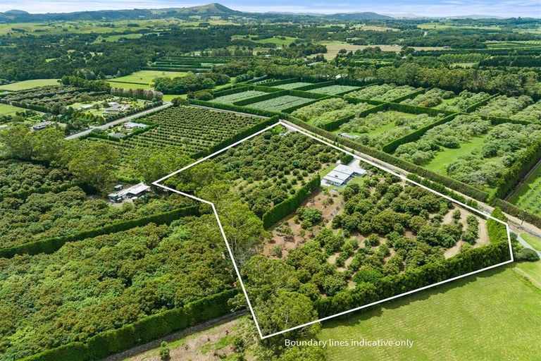 Photo of property in 485 Mangakahia Road, Maungatapere, Whangarei, 0179