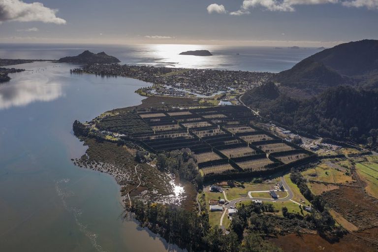 Photo of property in 5 Pinnacles Lane, Pauanui, 3579