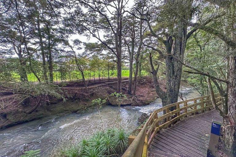 Photo of property in 29/5 Carolina Place, Albany, Auckland, 0632