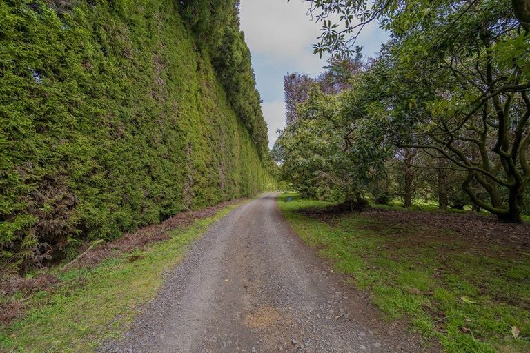 Photo of property in 899f Purangi Road, Cooks Beach, Whitianga, 3591