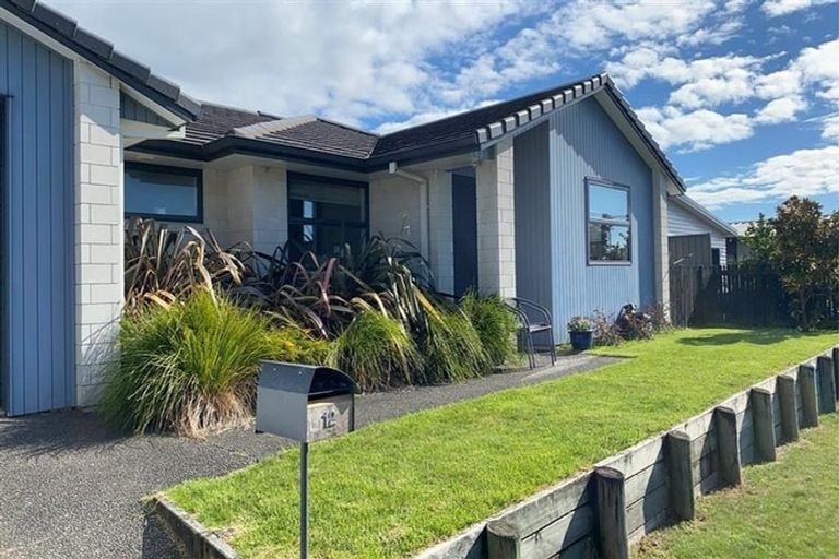 Photo of property in 12 Waghorn Street, Pyes Pa, Tauranga, 3112