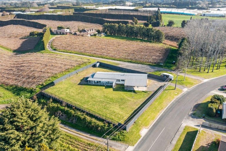 Photo of property in 42 Macloughlin Drive, Te Puke, 3119