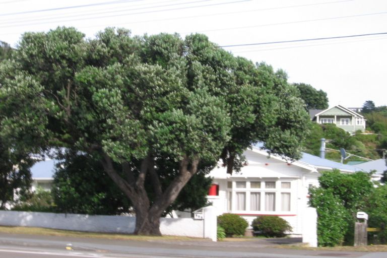 Photo of property in 342 The Parade, Island Bay, Wellington, 6023