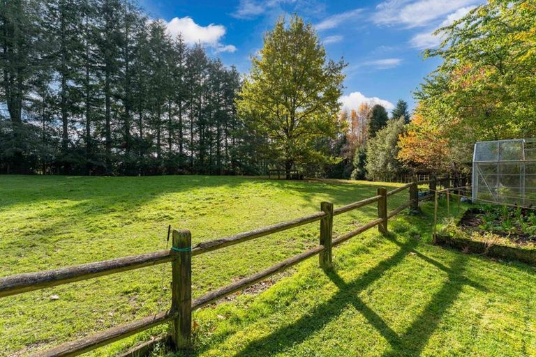 Photo of property in 175 Forest Road, Oruanui, Taupo, 3384