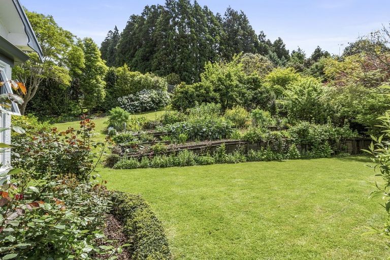 Photo of property in 7 Westridge Drive, Tauriko, Tauranga, 3110