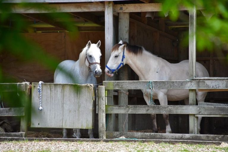 Photo of property in 280 Inland Road, Helensville, 0875