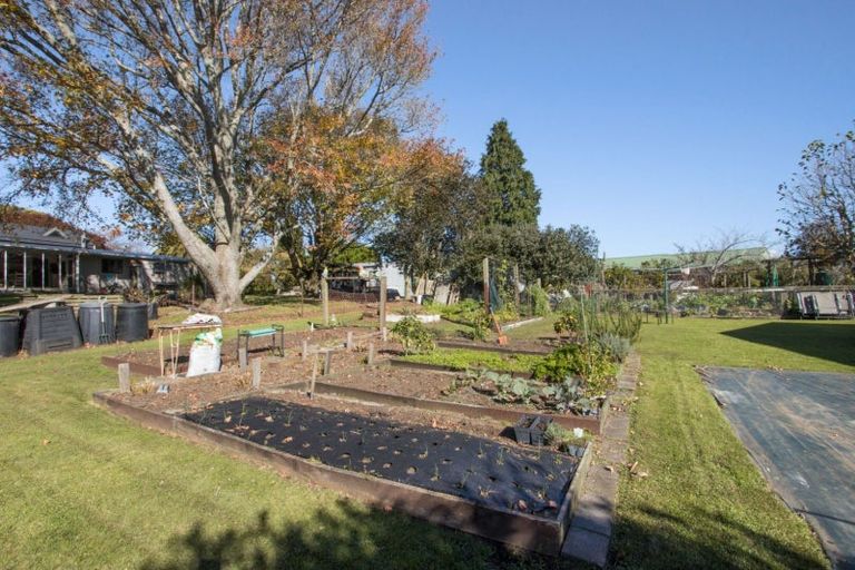 Photo of property in 33 Bradford Street, Waihi, 3610