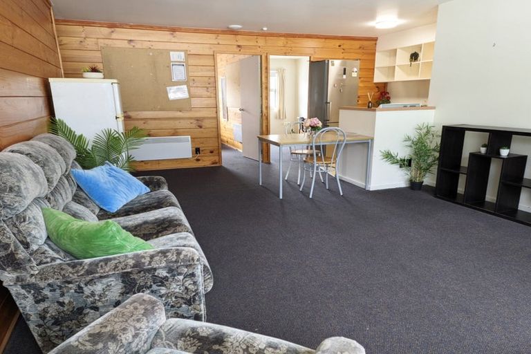 Photo of property in Drummond Street Flats, 15/19u Drummond Street, Mount Cook, Wellington, 6021