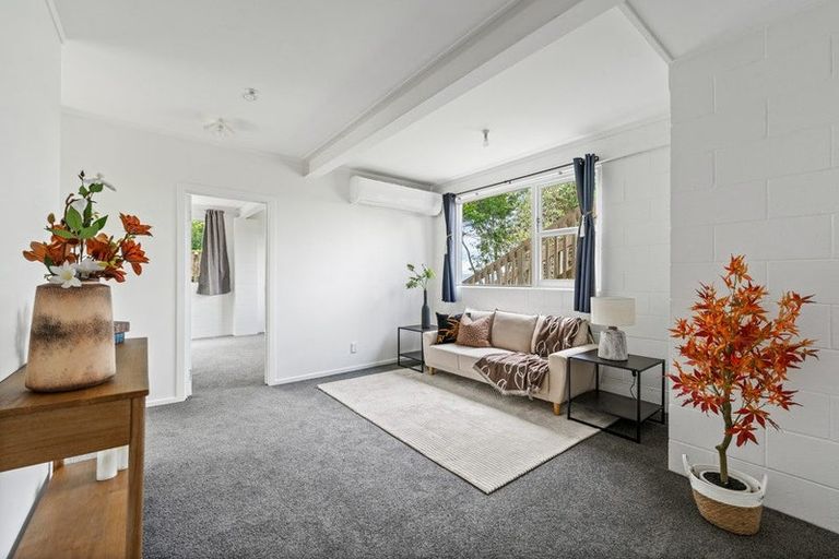 Photo of property in 224 Don Buck Road, Massey, Auckland, 0614